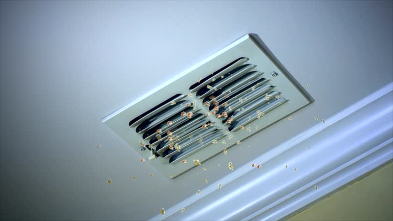 Best Professional Duct Cleaning Services  in Hawaiian Paradise Park, HI