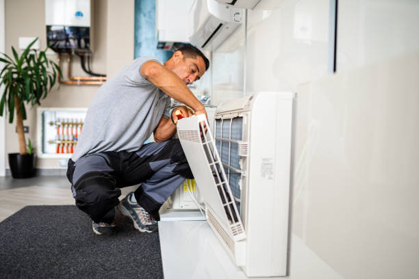 Best Affordable Air Duct Cleaning  in Hawaiian Paradise Park, HI