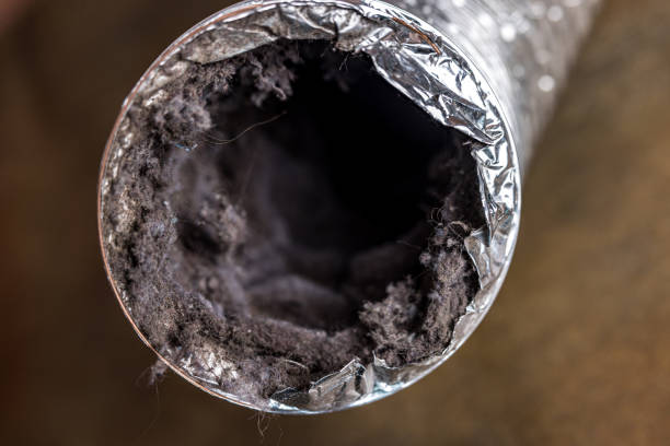 Best Air Duct Cleaning Cost  in Hawaiian Paradise Park, HI