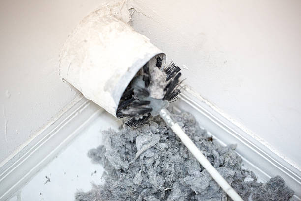 Best Ventilation Cleaning Services  in Hawaiian Paradise Park, HI